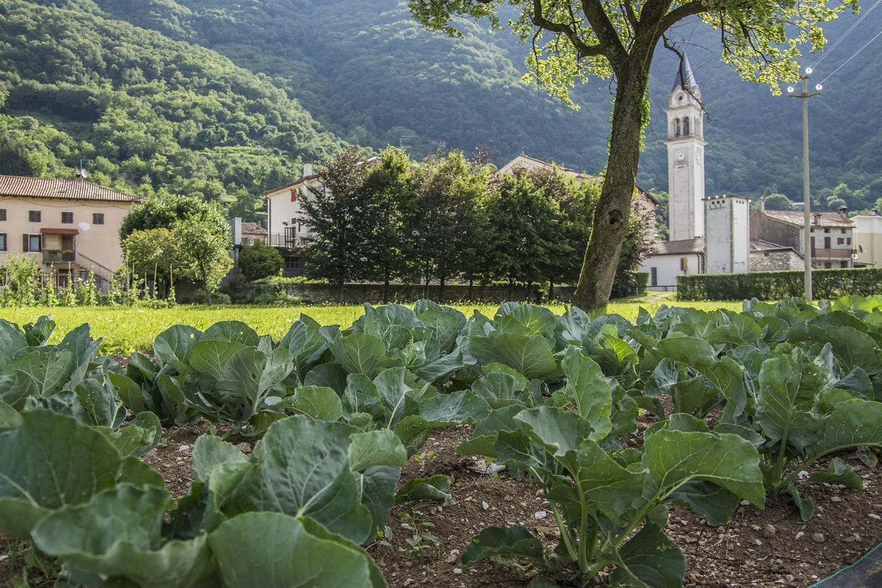 Locanda Solagna Quero Exteriör bild
