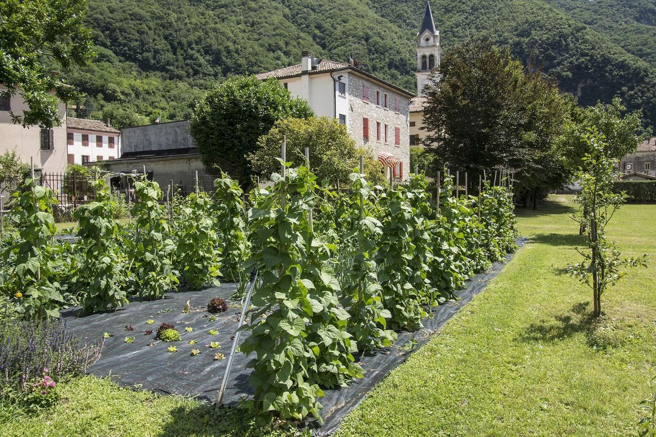 Locanda Solagna Quero Exteriör bild